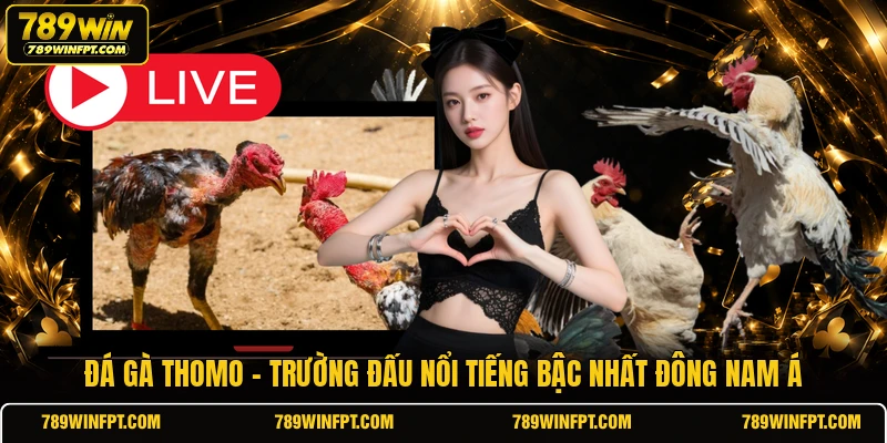 Đá Gà Thomo - Trường Đấu Nổi Tiếng Bậc Nhất Đông Nam Á